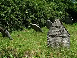 ŽH Dlouhá Ves 06.jpg