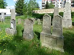 ŽH JHradec 08.jpg