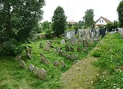 ŽH Pacov 07.jpg