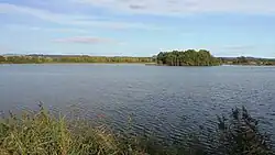Žabakor od hráze