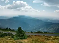 Žalský hřbet, Černá skála druhá zleva