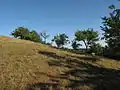 Svah