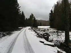 Želnavský smyk - vpravo vedle cesty, pohled proti proudu směrem ke Klápě