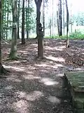 Žižkova studánka