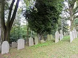 Židovský hřbitov, Ledeč nad Sázavou5.jpg