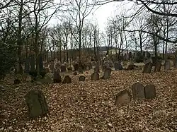 Židovský_hřbitov_Liteň.JPG