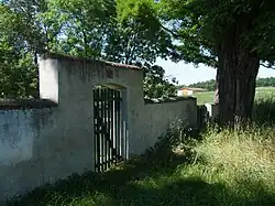 Vstupní branka