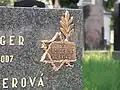 Přeživší holokaust