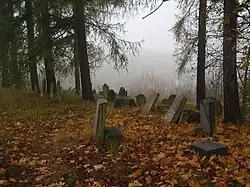 Židovský hřbitov