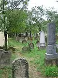 Židovský hřbitov