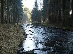 Řeka Žirovnice u Kamenného Malíkova