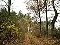 Cesta k Žizníkovskému vrchu od východu