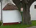Lípa u kapličky ve Žlutavě
