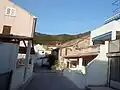 Žuljana