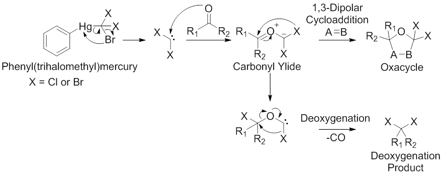 Syntéza α-halogenkarbonylylidů přes dihalogenkarbenové meziprodukty. Převzato z: Padwa, A.; Hornbuckle, S. F. Chem Rev 1991, 91, 263.
