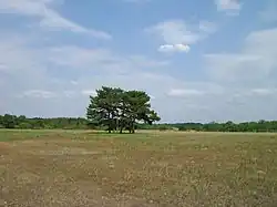 Step v rezervaci