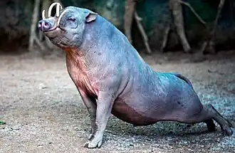alternativní popis obrázku chybí
