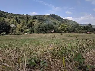 Pohled na horu Sova