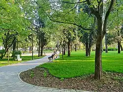 Pohled na park.