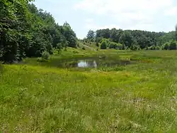 Jezero Repynne