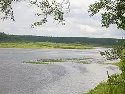 Řeka Varzuga