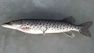 alternativní popis obrázku chybí