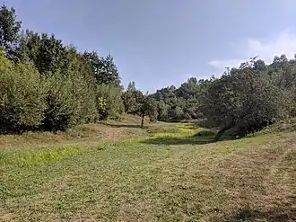 Třepetystij