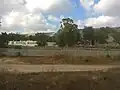Kfar Cvi Sitrin – znak