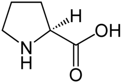 L-prolin
