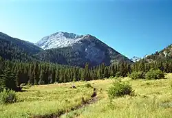 Wallowa-Whitman National Forest