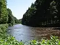 Ilz severně od Schrottenbaummühle