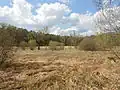 Místo kde se odehrála třetí vražda, vedle ulice Wildparkstraße
