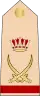 Bahrajn: armáda