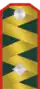 generálporučík ROA