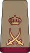 Katar: armáda
