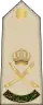 Omán: armáda