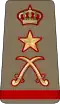 Kuvajt: armáda