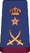 Katar: letectvo