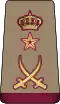 Katar: armáda