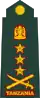Tanzanie: armáda