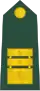 Slovinsko: armáda