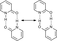 Dimery 2-pyridonu a 2-hydroxypyridinu