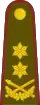 Litva: armáda