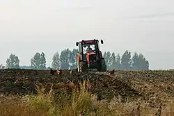 Čelní záběr na červený Zetor orající lán pole, v pozadí hradba stromů, v popředí se okolo traktoru prochází slepice