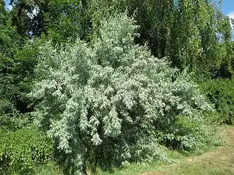 alternativní popis obrázku chybí