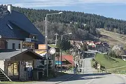 Zieleniec