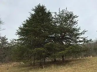 alternativní popis obrázku chybí