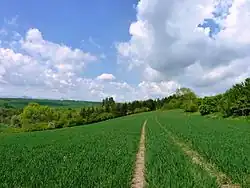 Památka v květnu 2017