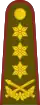 Litva: armáda