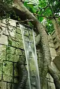 Tropická hala Yucatan